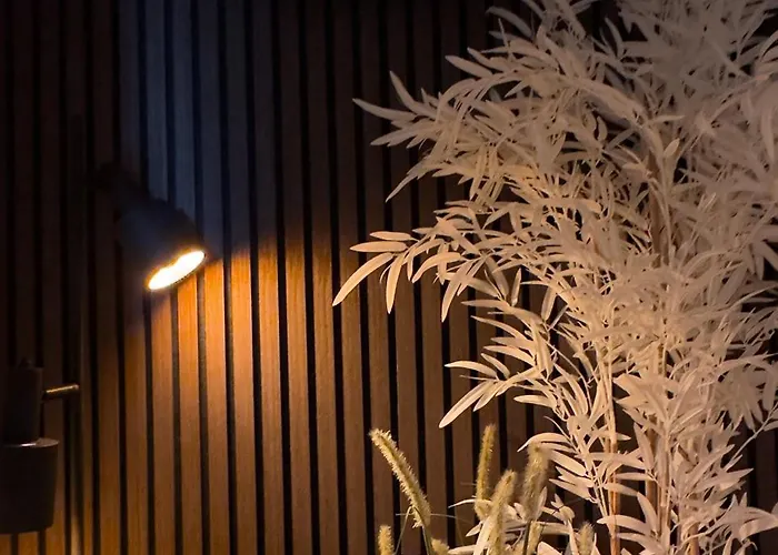 Ocean House Zandvoort 酒店 赞德沃特