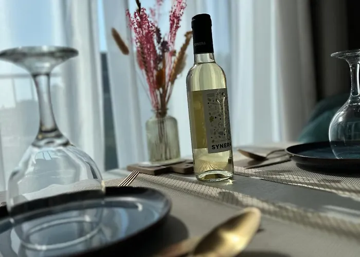 酒店 Ocean House Zandvoort 赞德沃特