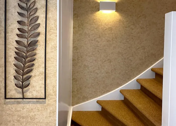 Ocean House Zandvoort 酒店 赞德沃特