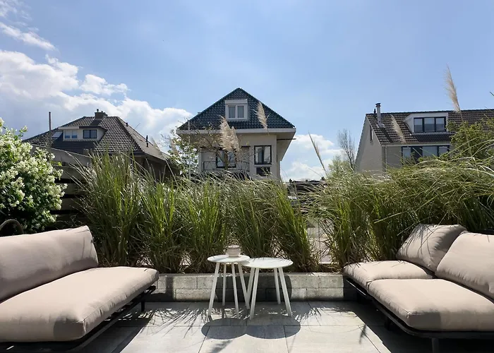 Ocean House Zandvoort * 赞德沃特