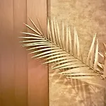 Hotel Ocean House