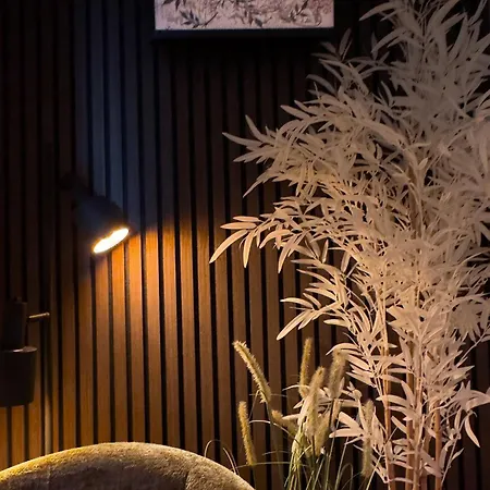 Boutique At Sea Hotel Zandvoort