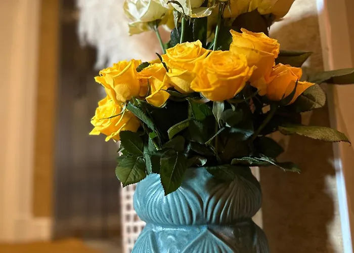 Hotel Ocean House Zandvoort