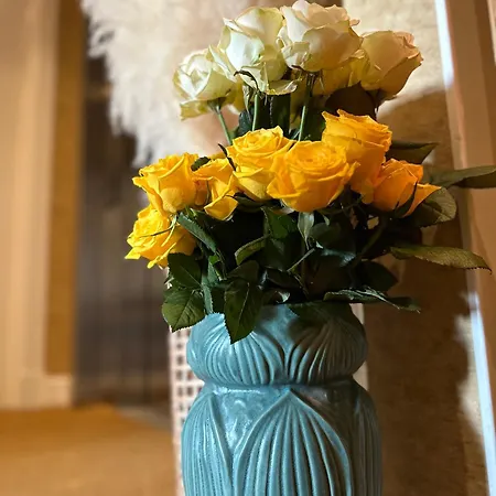 Hotel Boutique At Sea