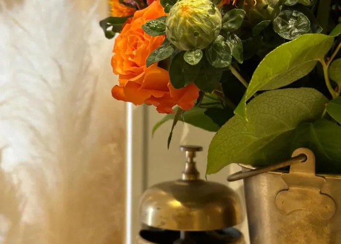 Ocean House Zandvoort 酒店